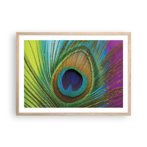 Poster in light oak frame - Eye to Eye - 70x50 cm