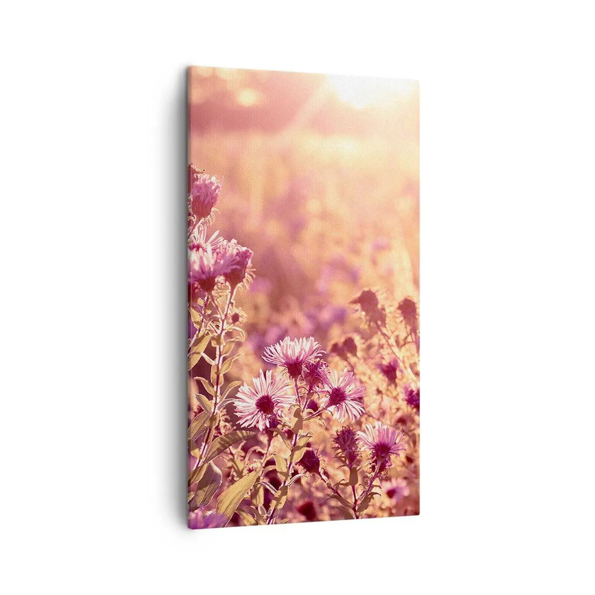 Canvas picture - Before Summer Goes - 45x80 cm