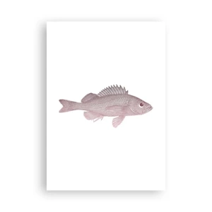 Poster - Big-eyed Fish - 70x100 cm