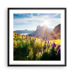 Poster in black frame - Secret Life of Herbs - 50x50 cm