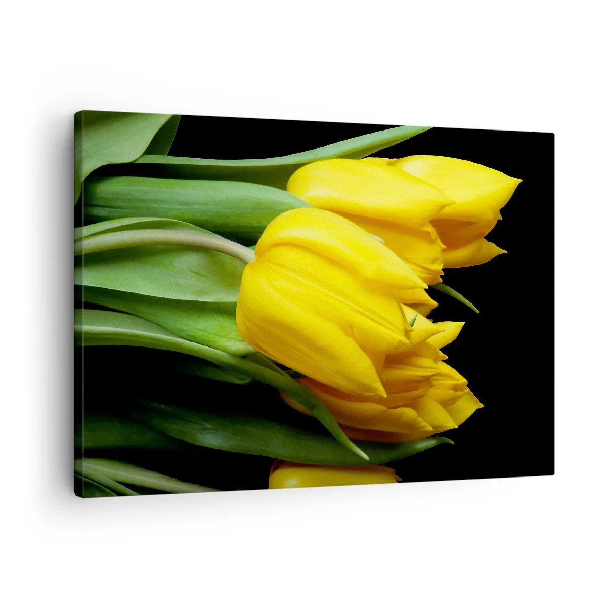 Canvas picture - A bouquet of yellow tulips on a black background - 70x50cm - Born from the Sun - Modern wall decoration for the living room and bedroom ARTTOR