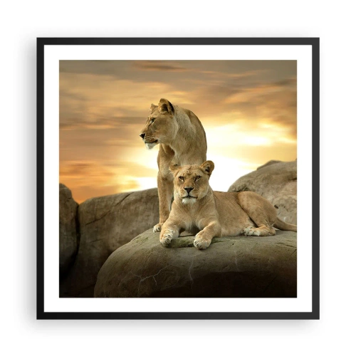 Poster in black frame - Royal Majesty - 60x60 cm