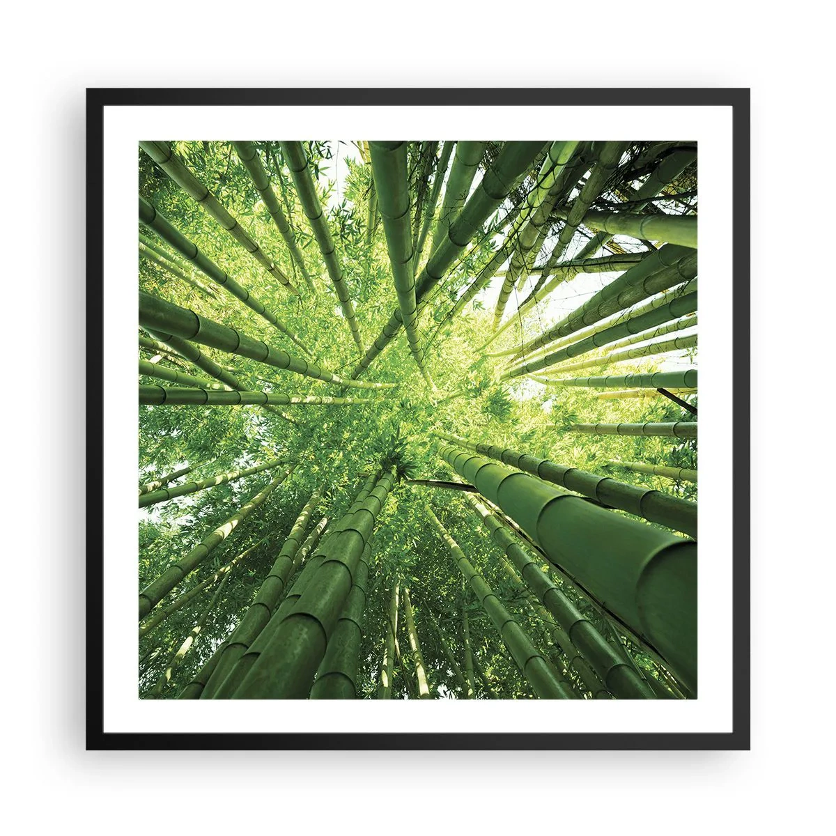 Poster in black frame - In a Bamboo Forest - 60x60 cm