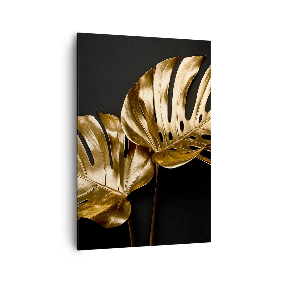 Canvas picture - Tresaures of Nature - 70x100 cm
