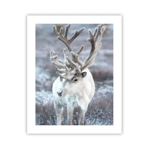 Poster - Portrait in the Sun - 40x50 cm