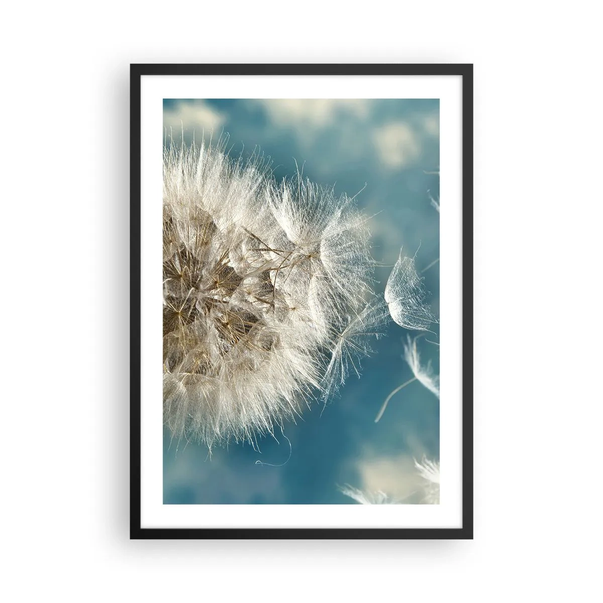 Poster in black frame - Delicate dandelion seeds on a blue background - 50x70cm - Breath of an Angel - Modern wall decoration for the living room and bedroom ARTTOR