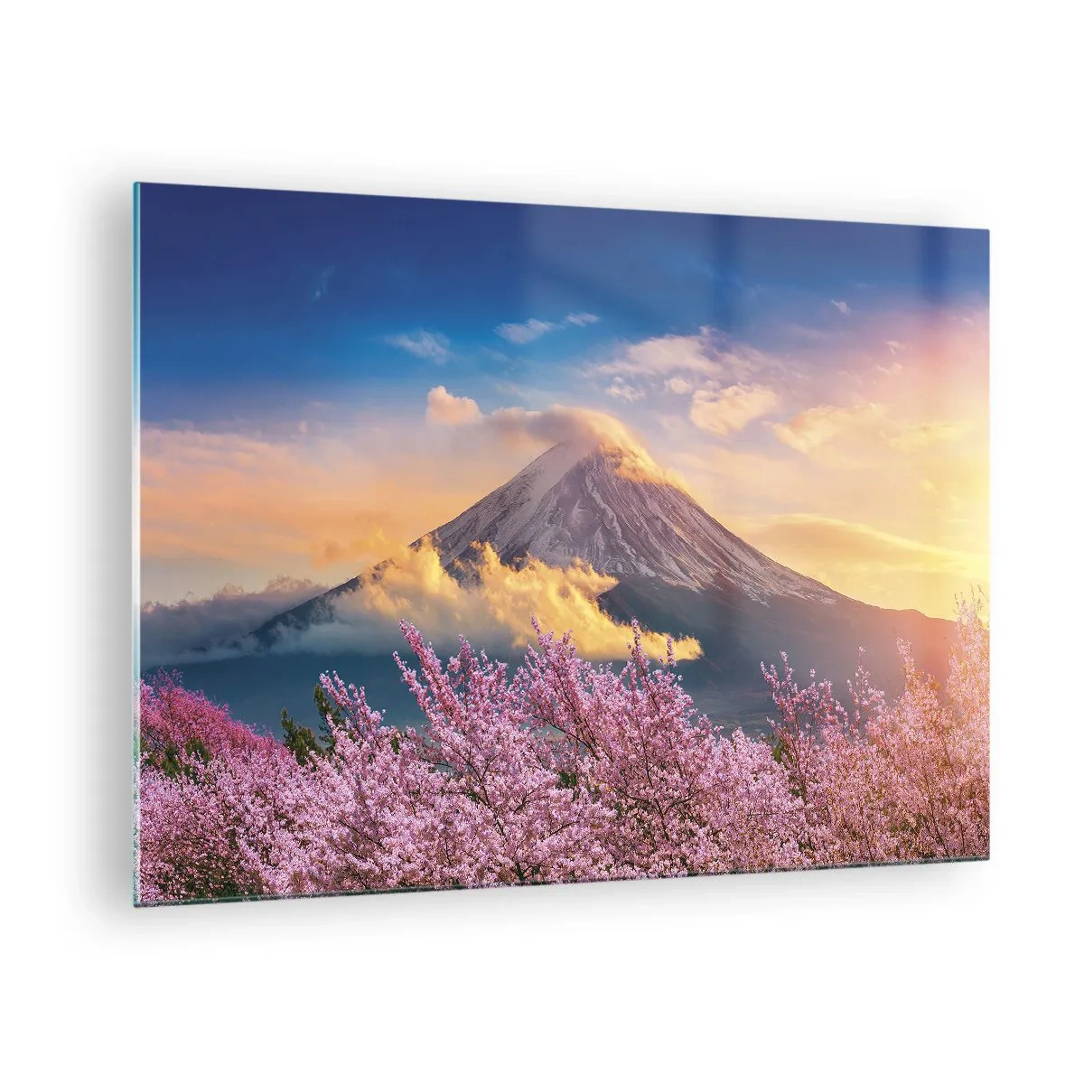 Glass picture - Mount Fuji in the background with blooming sakura trees in the foreground - 70x50cm - Japanese Sanctity - Modern wall decoration for the living room and bedroom ARTTOR