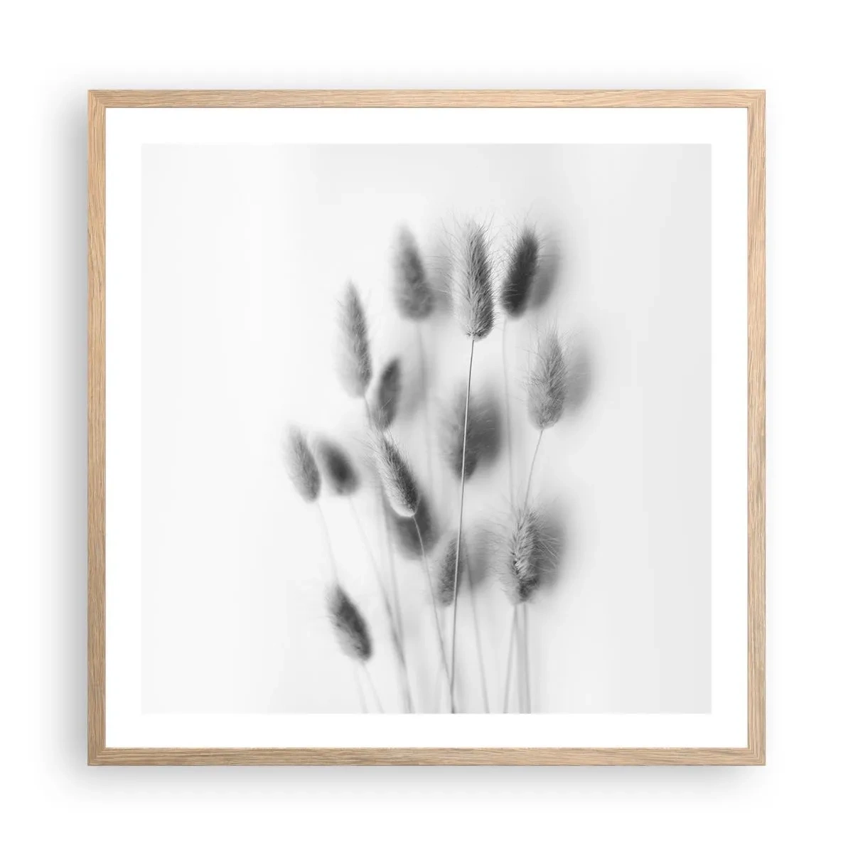 Poster in light oak frame - Her Softness Grass - 60x60 cm