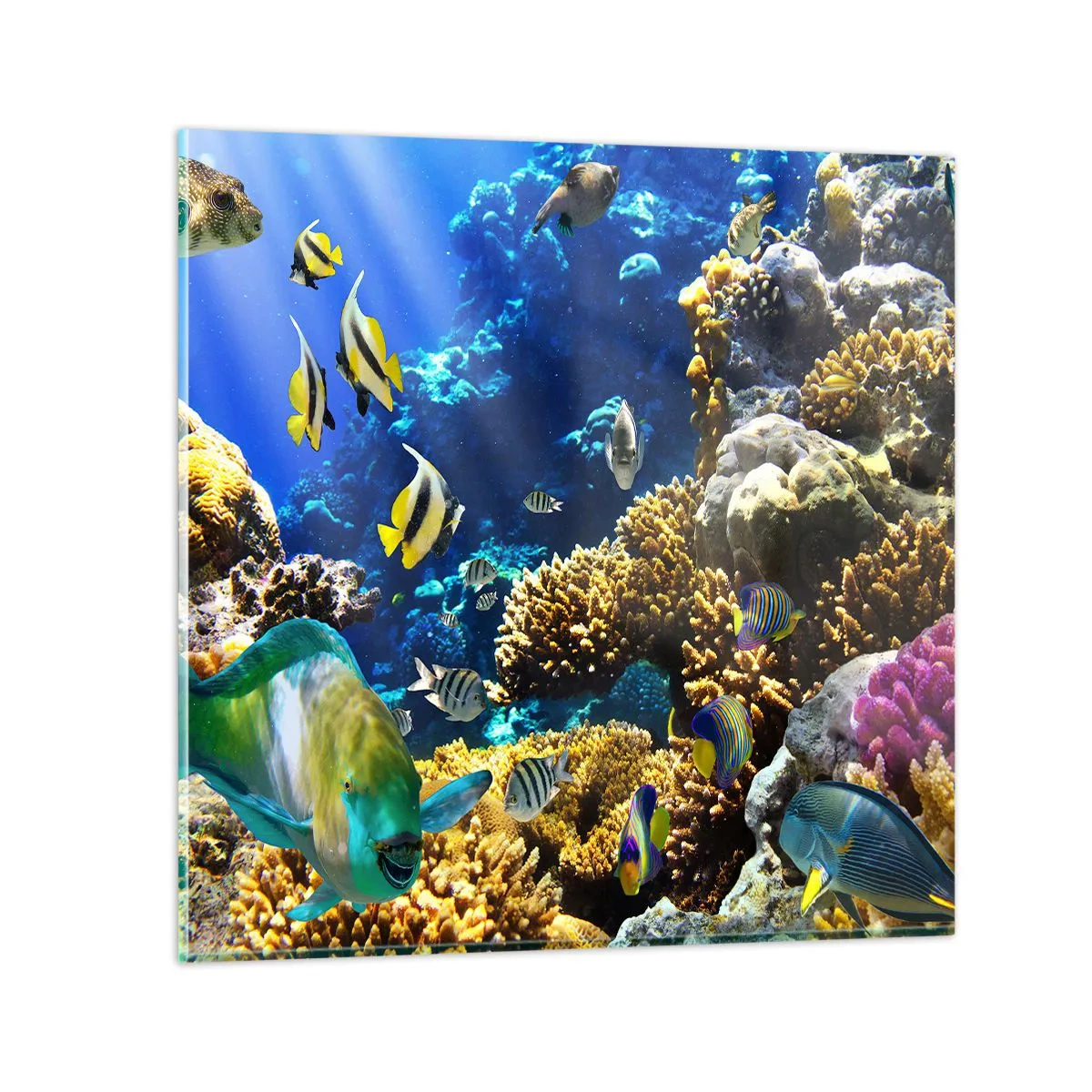 Glass picture - Big Traffic to Holiday Destination - 40x40 cm