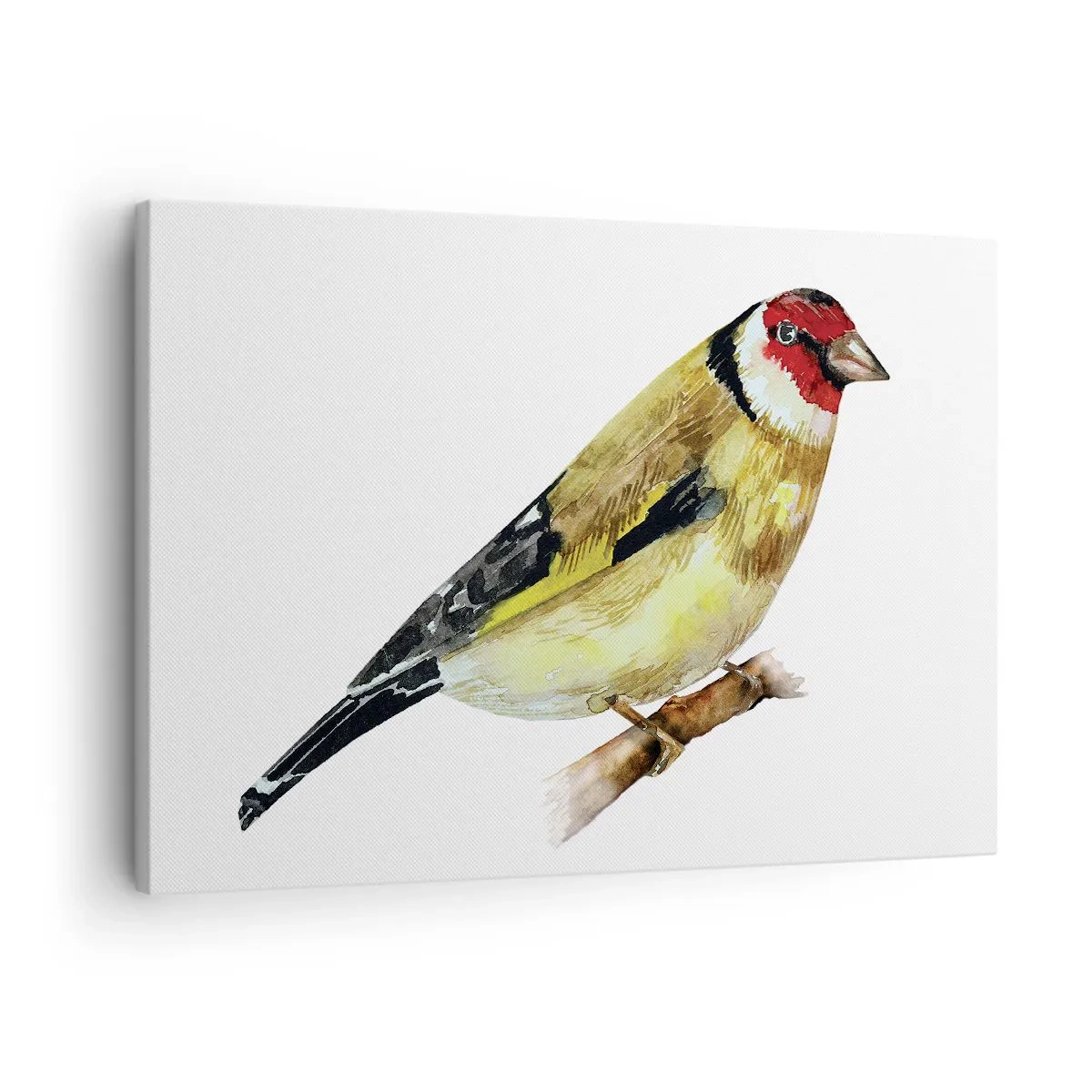 Canvas picture - A bird with a red head on a branch - 70x50cm - Bird Portrait  - Modern wall decoration for the living room and bedroom ARTTOR