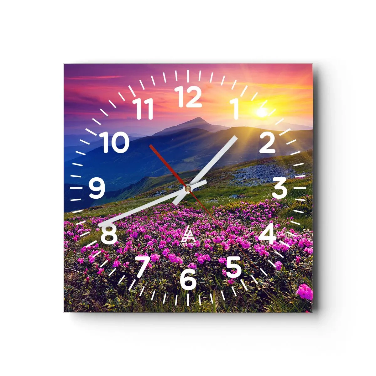 Wall clock - Clock on glass - Surrounded by Mountain Pine and Herbs - 40x40 cm