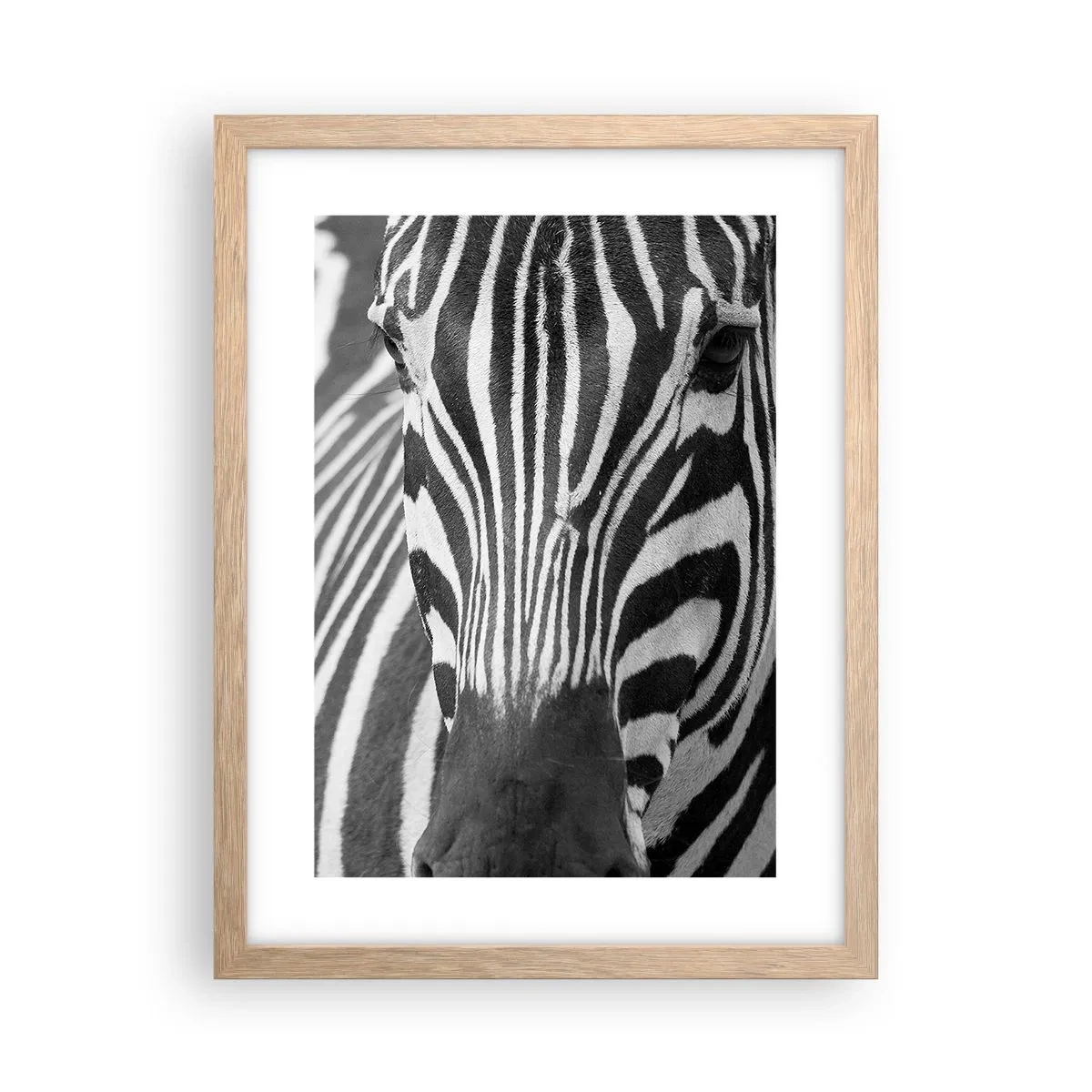 Poster in light oak frame - World Is Black and White - 30x40 cm