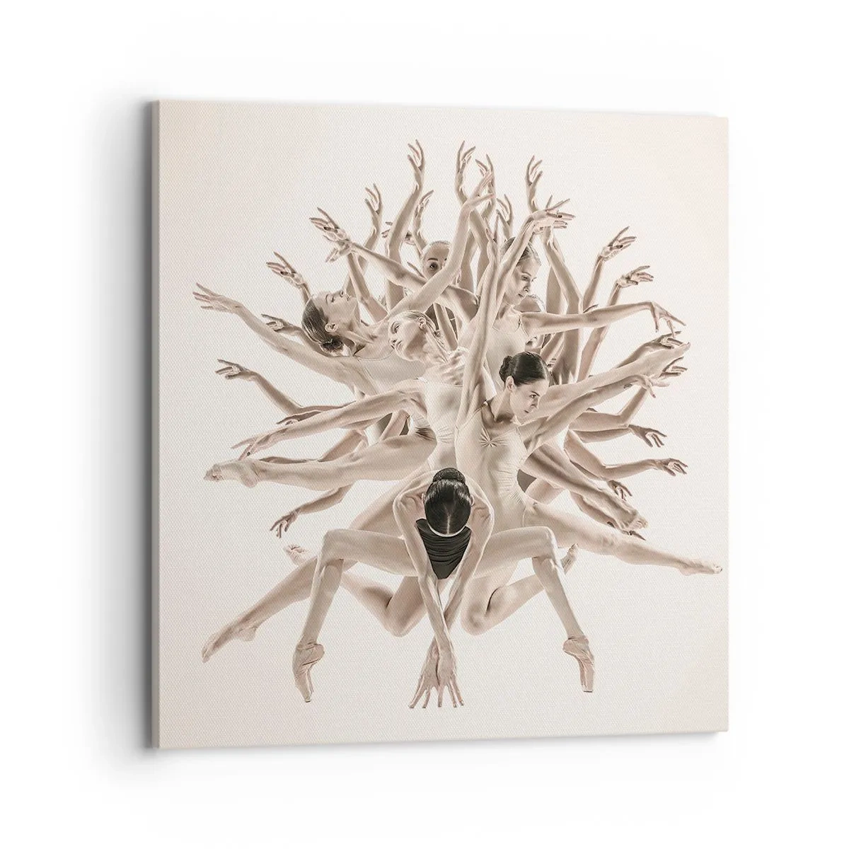 Canvas picture - Dance in Bloom - 70x70 cm