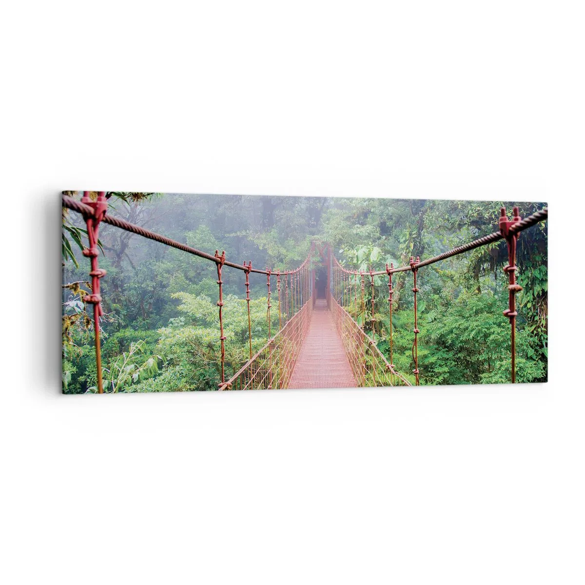 Canvas picture - Suspended above Crowns - 140x50 cm