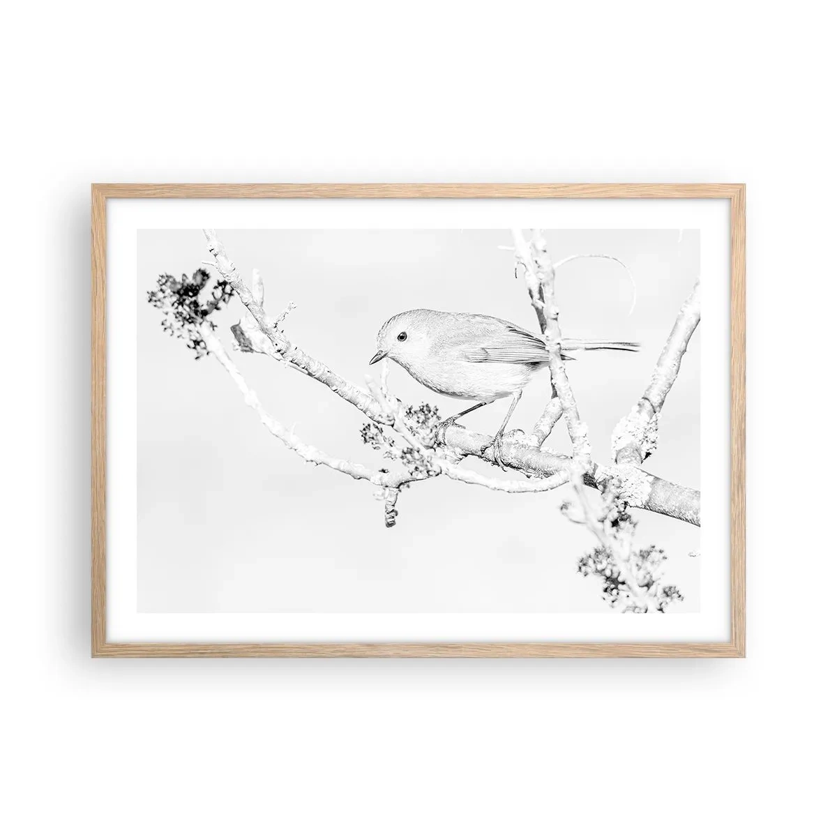 Poster in light oak frame - Winter Morning - 70x50 cm