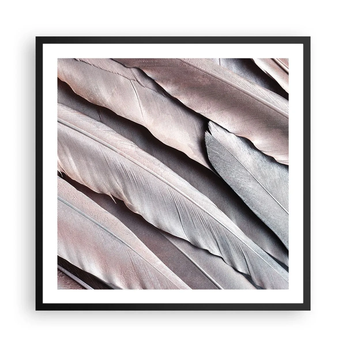 Poster in black frame - In Pink Silverness - 60x60 cm