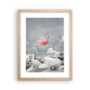 Poster in light oak frame - Where Did I Come from? - 30x40 cm