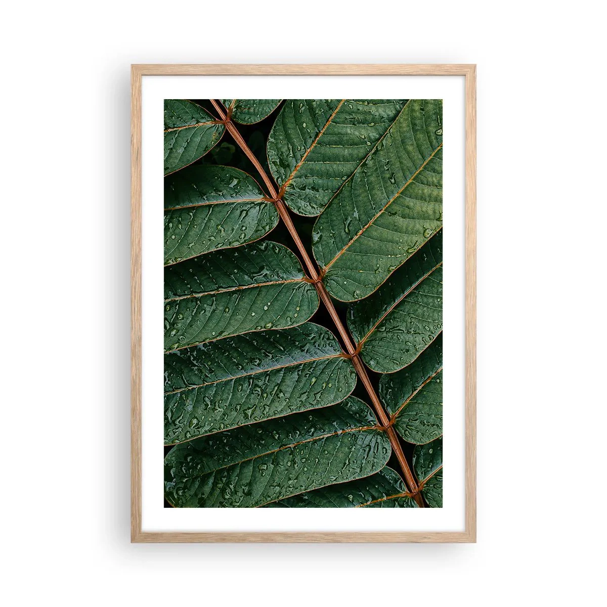 Poster in light oak frame - In Green Rhythm - 50x70 cm