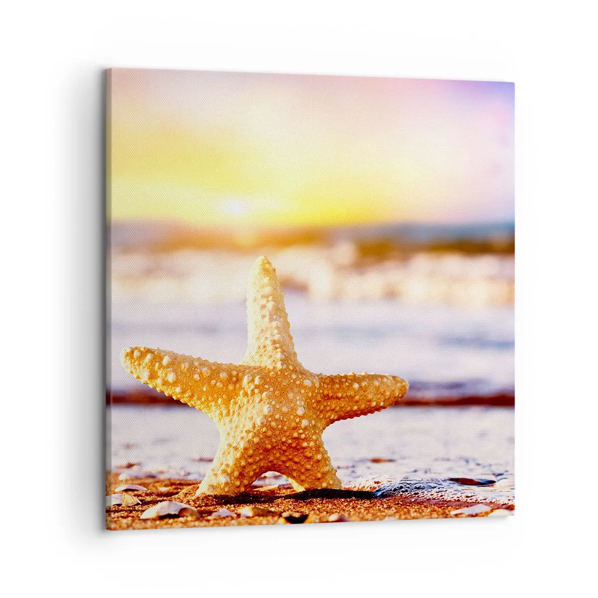 Canvas picture - Sea Kiss - 50x50 cm
