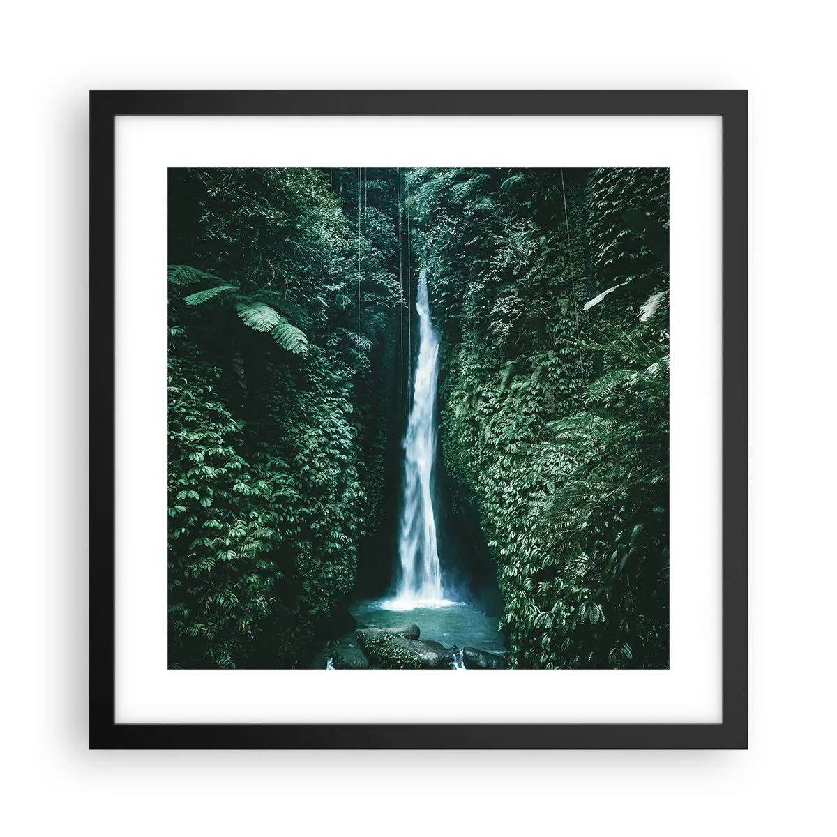 Poster in black frame - Tropical Spring - 40x40 cm