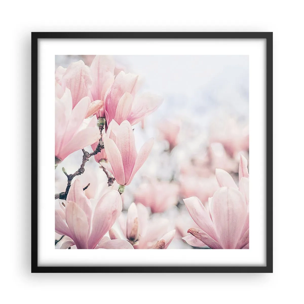 Poster in black frame - Ideal of Subtlety - 50x50 cm