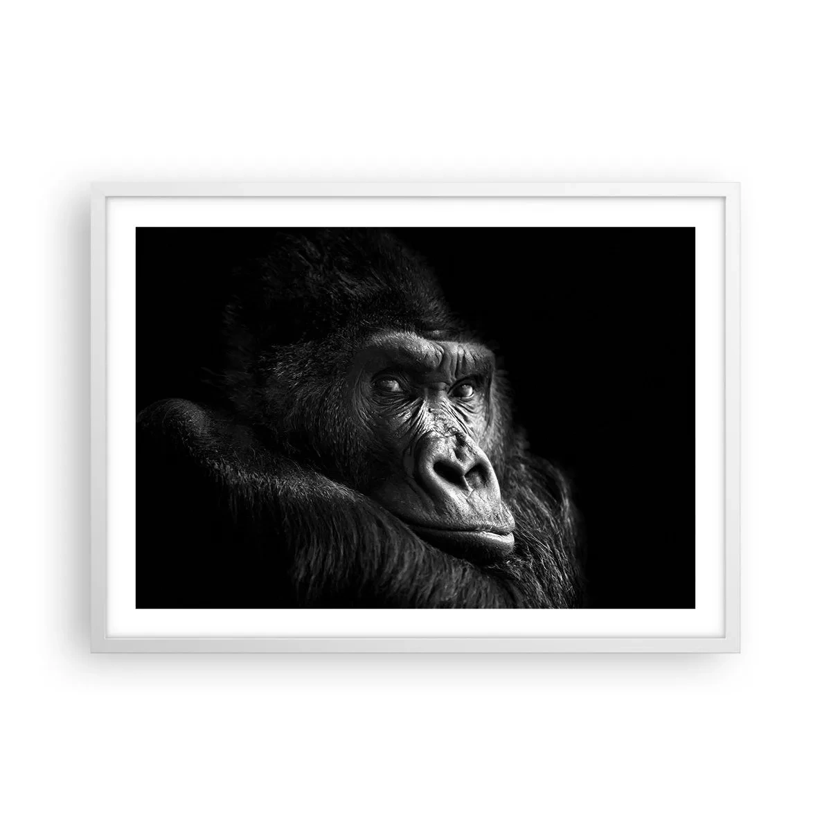 Poster in white frmae - What Are You Looking At? - 70x50 cm