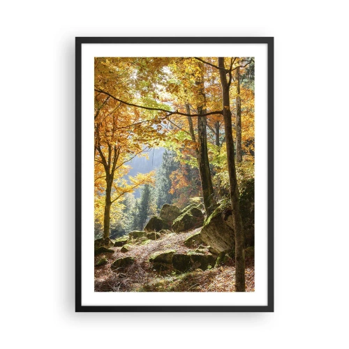 Poster in black frame - Autumn forest with sun rays and moss-covered stones - 50x70cm - Time for Rest - Modern wall decoration for the living room and bedroom ARTTOR