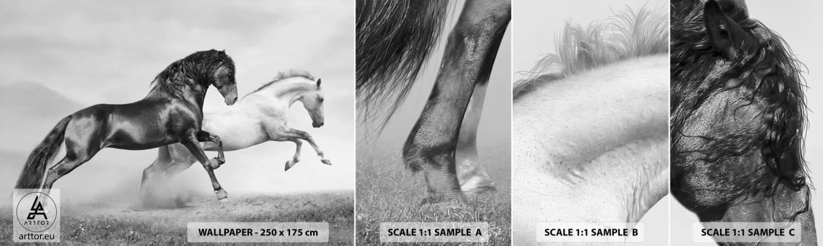 Photo Wallpaper Sample Standard Eco - Angels and Demons - Animals, Horses, Nature - 100x30 cm