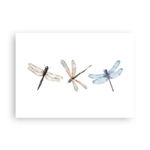 Poster - Lightness of Dragonflies  - 70x50 cm