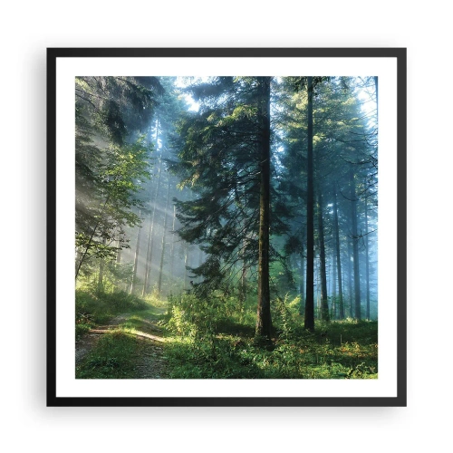Poster in black frame - Radiant at Dawn - 60x60 cm