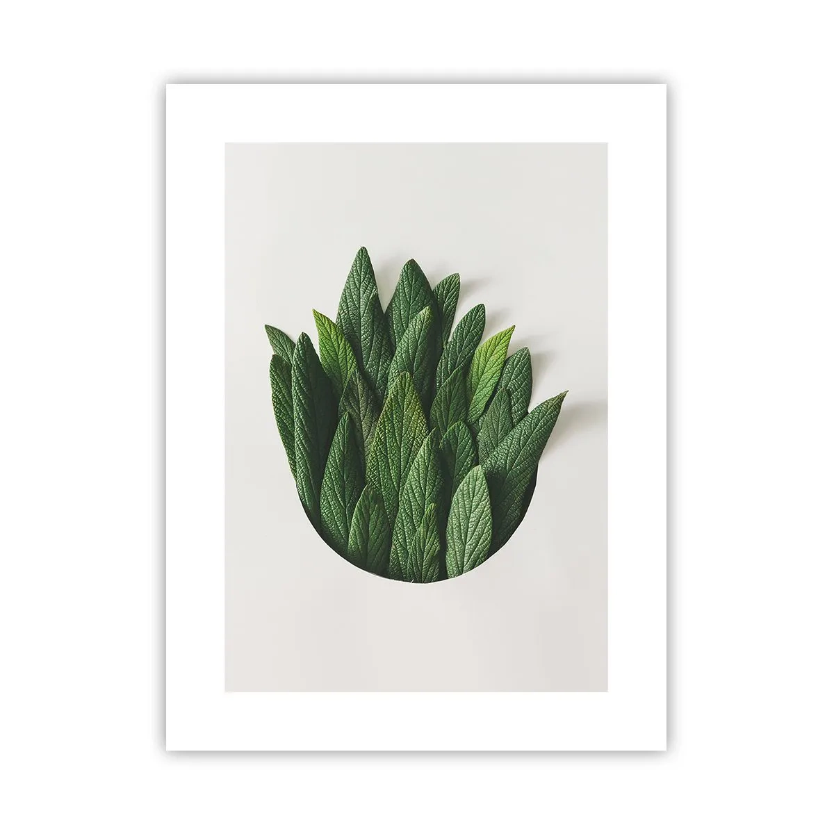 Poster - Untamed Curiosity - 30x40 cm