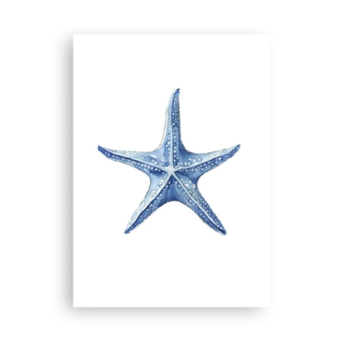 Poster - Sea Star - 50x70 cm