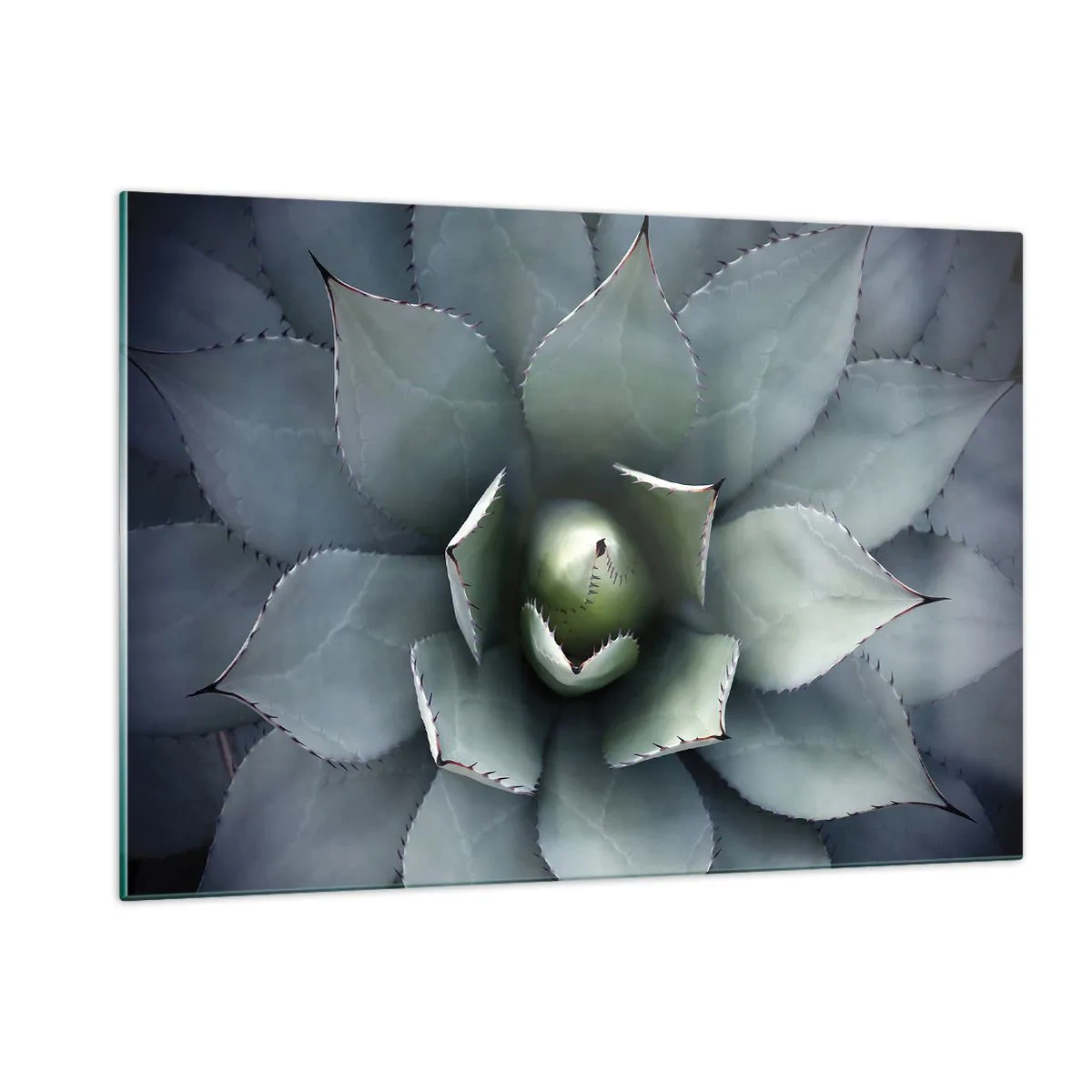 Glass picture - Attracts and Warns - 120x80 cm