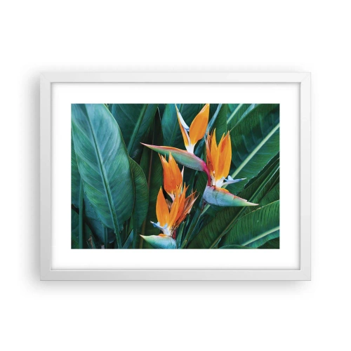 Poster in white frmae - Is It a Flower or a Bird? - 40x30 cm