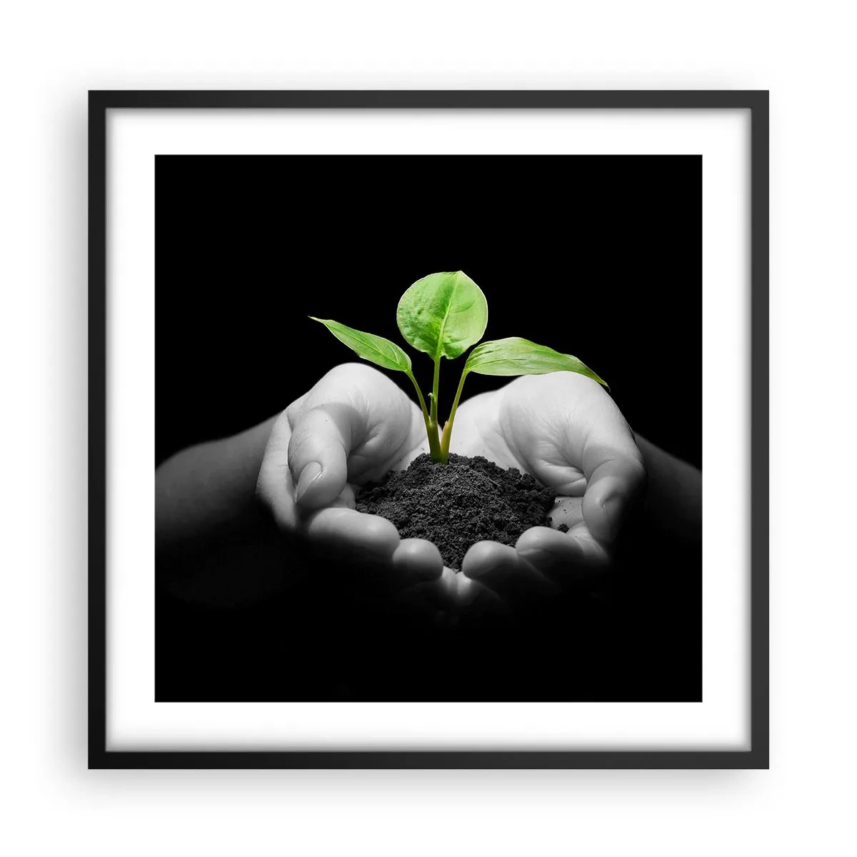 Poster in black frame - I Love Nature, I Protect It - 50x50 cm