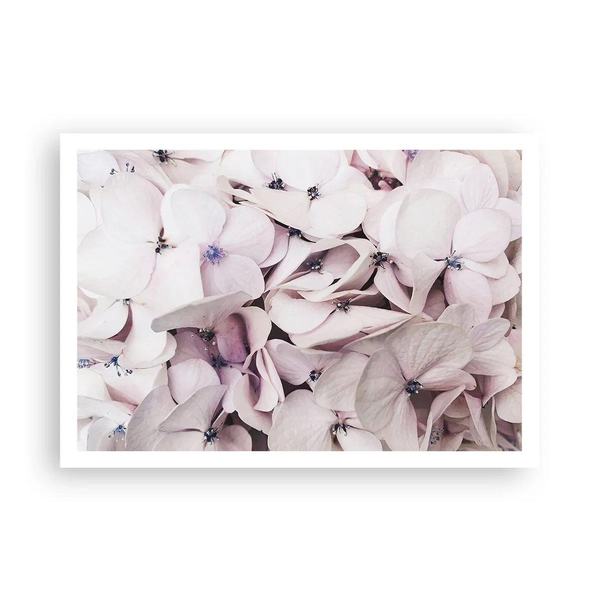 Poster - In the Flood of Flowers - 100x70 cm