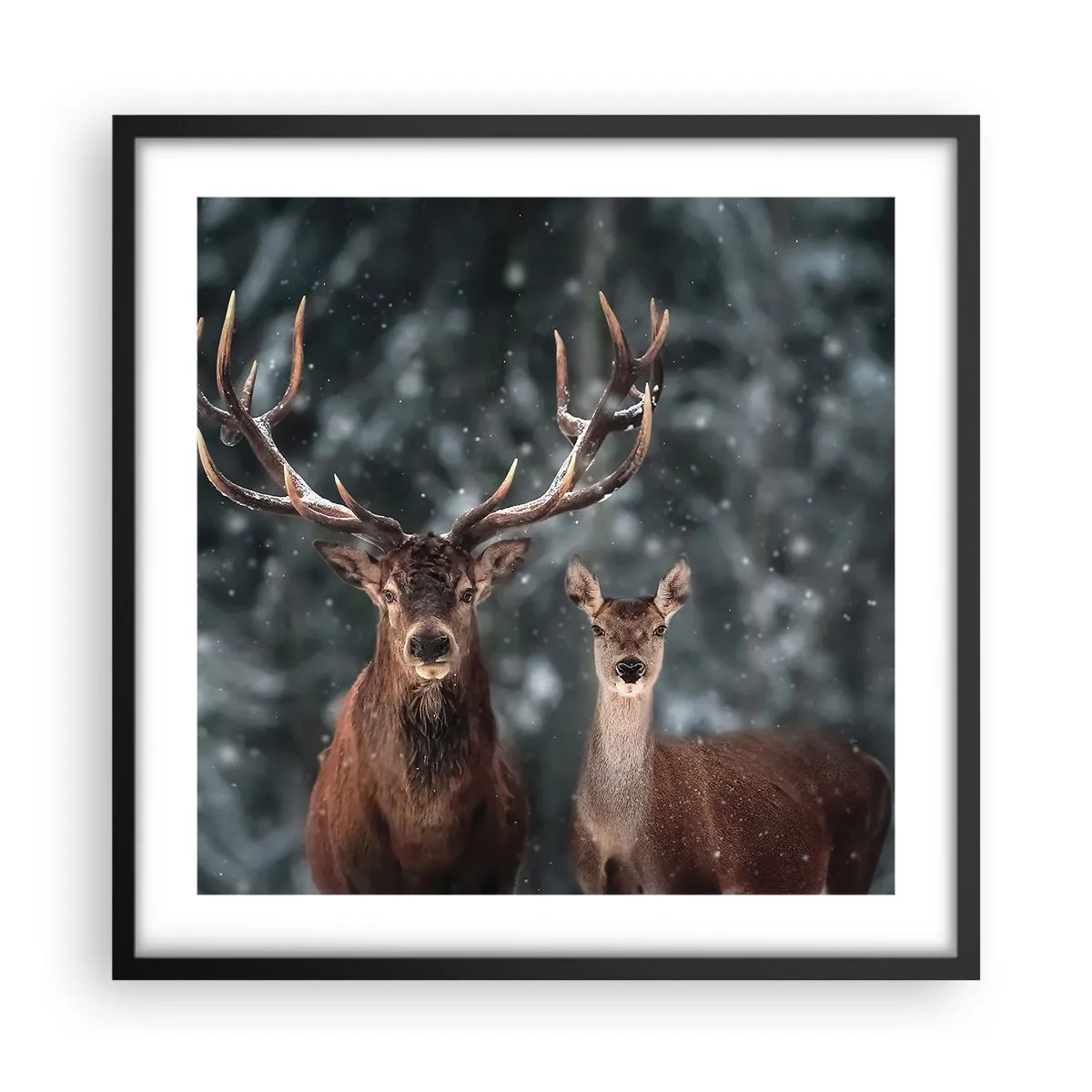 Poster in black frame - Master of the Forest with His Wife - 50x50 cm