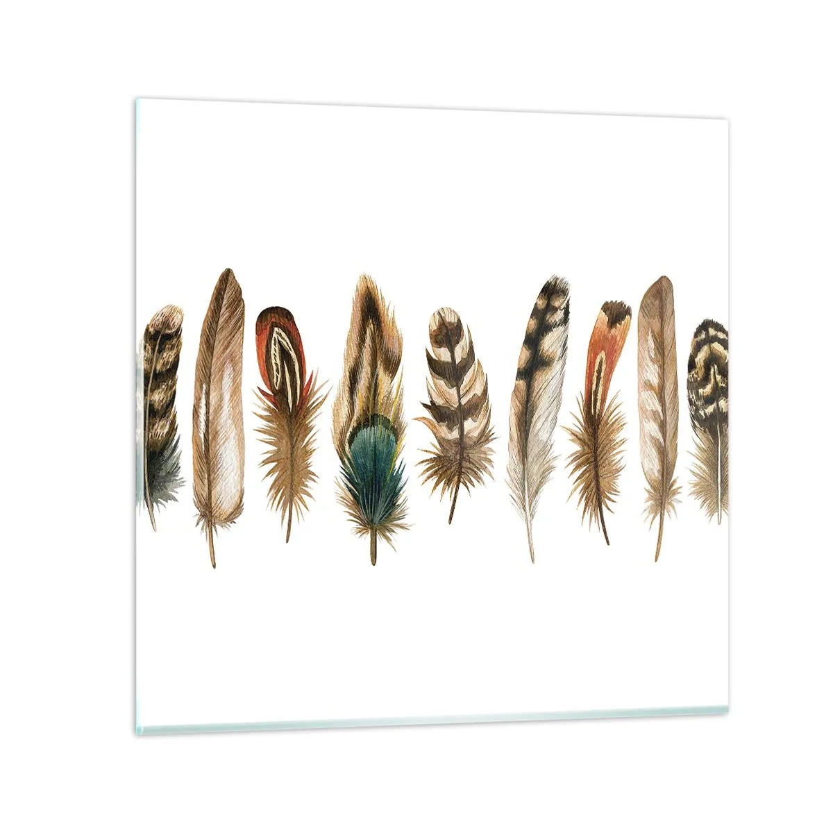 Glass picture - Feather Variation - 60x60 cm