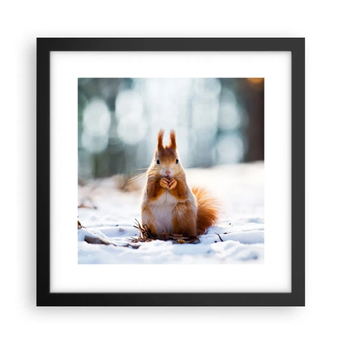 Poster in black frame - What Are You Looking at? - 30x30 cm