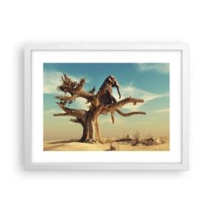 Poster in white frmae - New Point of View - 40x30 cm