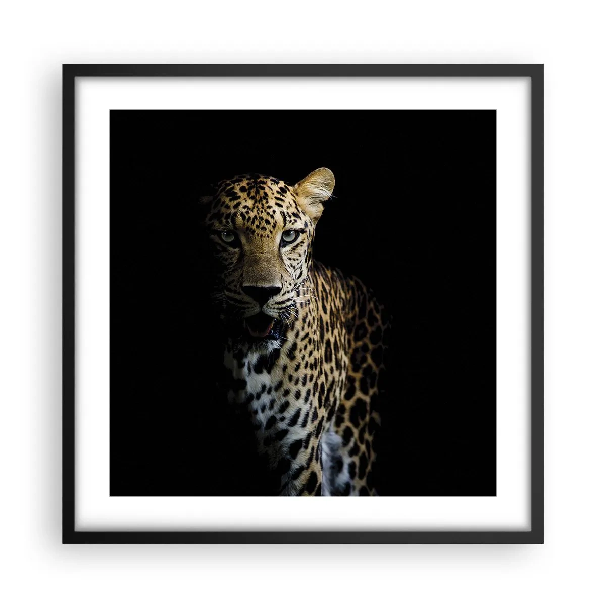Poster in black frame - Dark Beauty - 50x50 cm