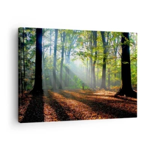 Canvas picture - A forest glade illuminated by the sun's rays - 70x50cm - Highs And Lows - Modern wall decoration for the living room and bedroom ARTTOR
