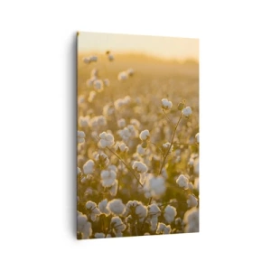 Canvas picture - Fluffy Field - 80x120 cm
