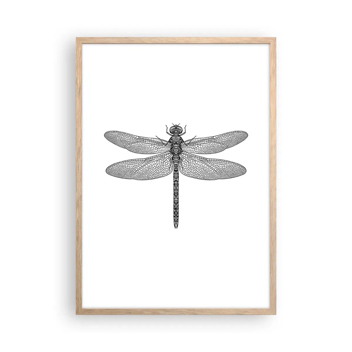 Poster in light oak frame - Precision of Nature - 50x70 cm