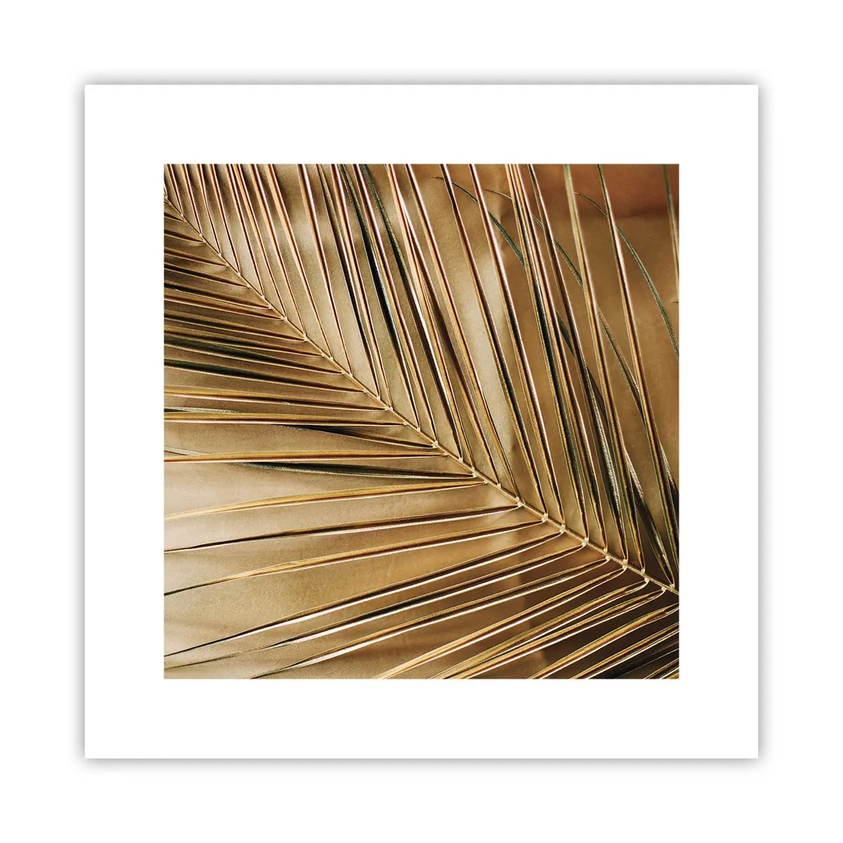 Poster - Natural Colonnade - 30x30 cm