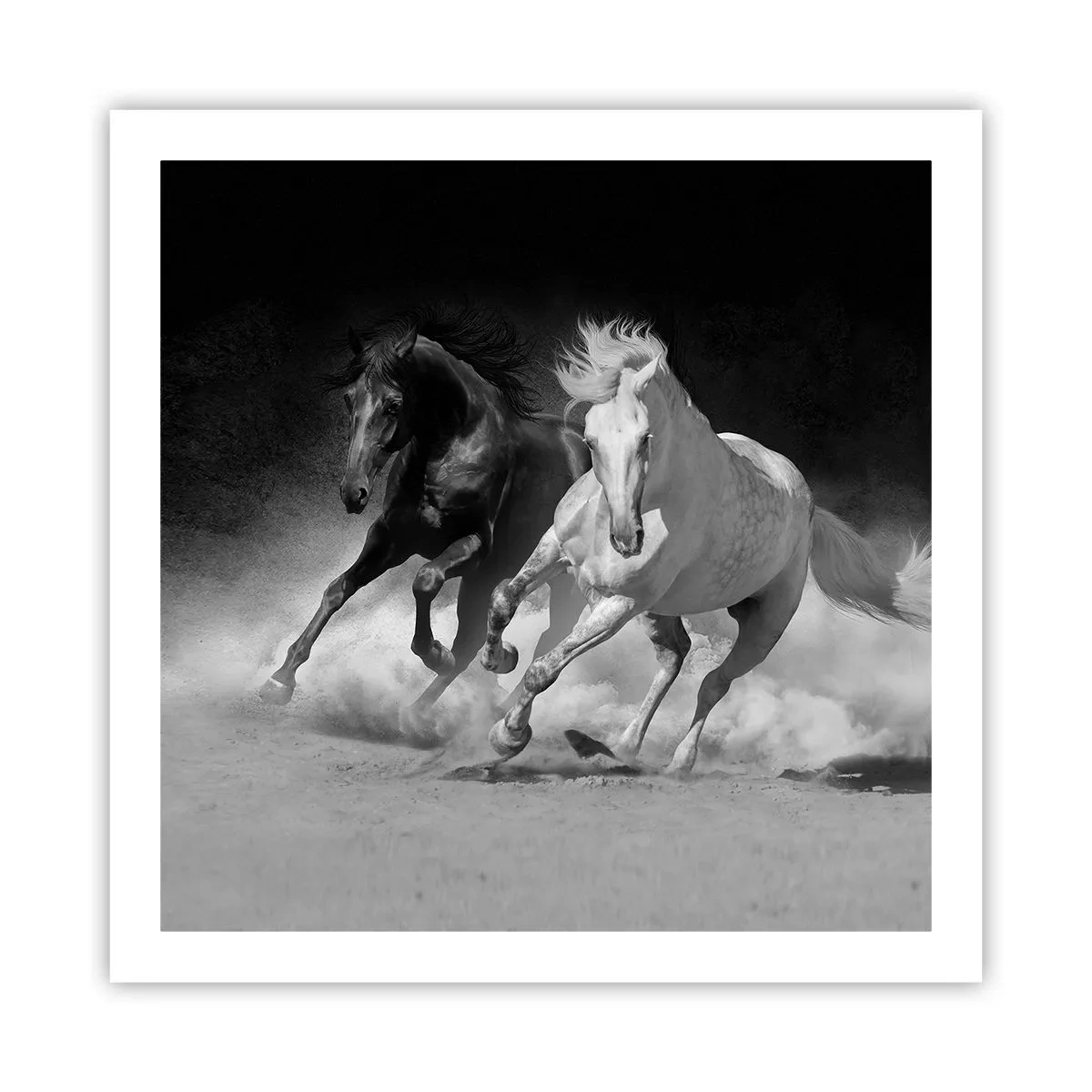 Poster - Gallop of Freedom - 60x60 cm
