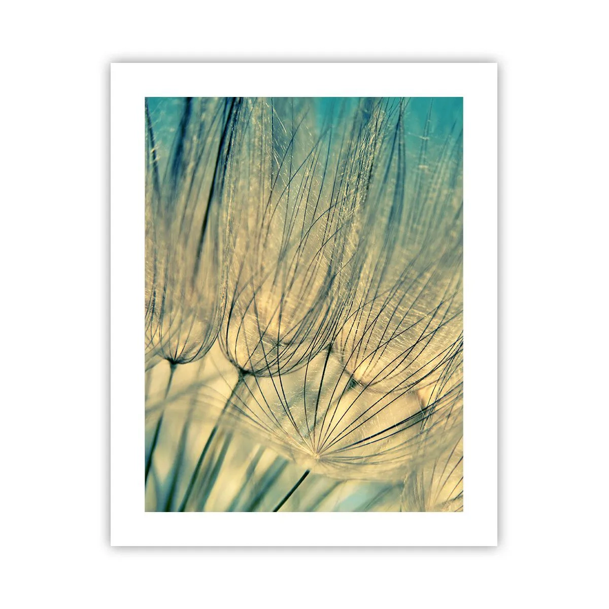 Poster - Waiting for the Wind - 40x50 cm