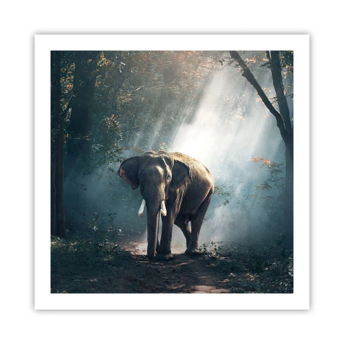 Poster - Quiet Stroll - 60x60 cm