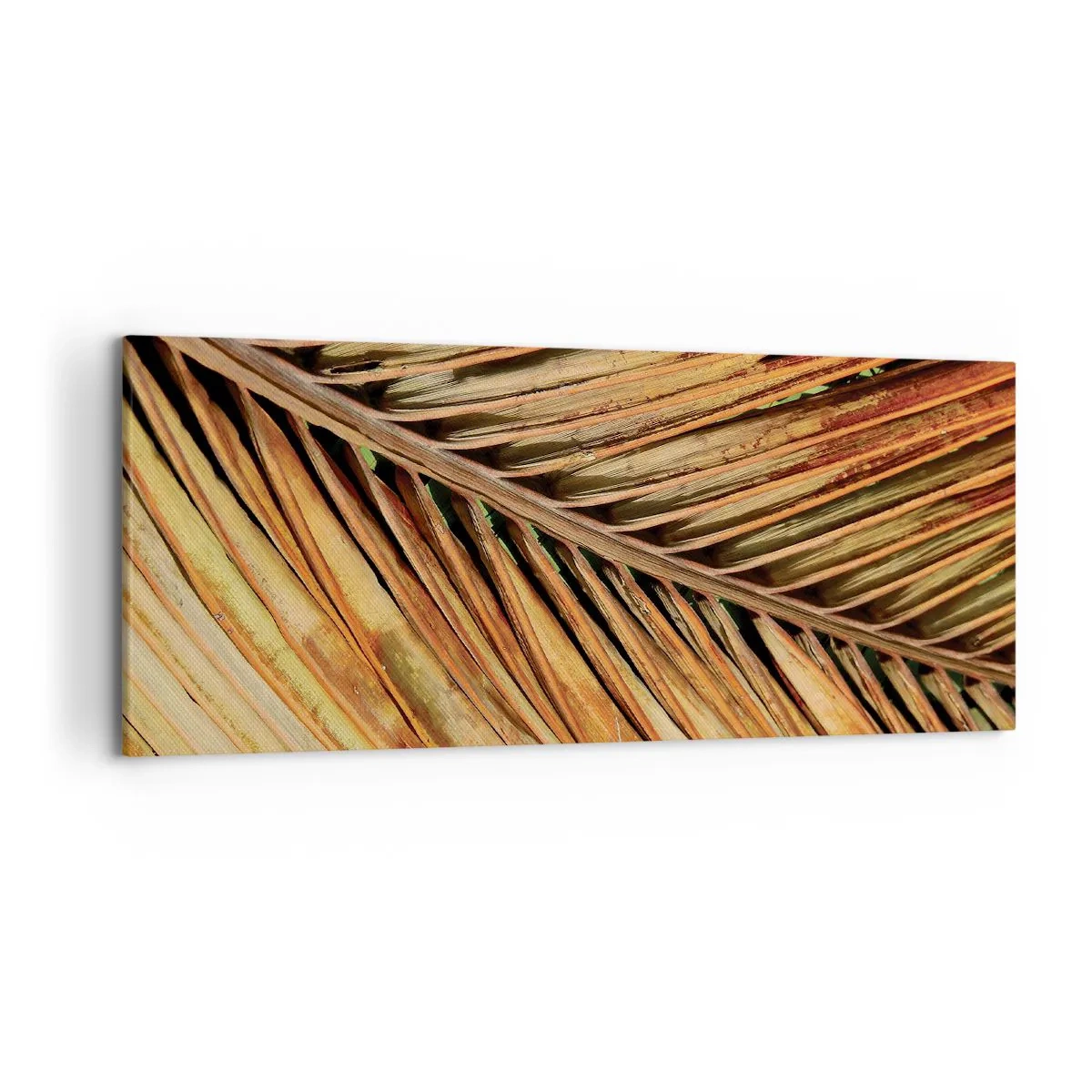 Canvas picture - Coconut Gold - 120x50 cm