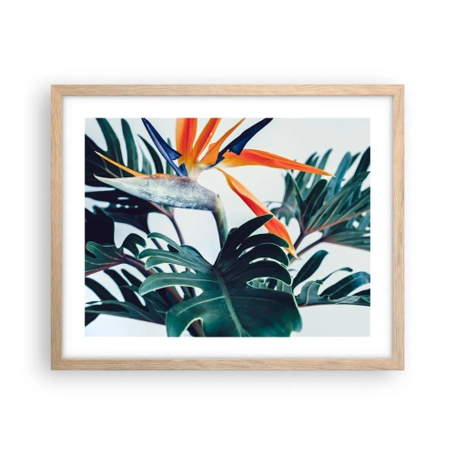 Poster in light oak frame - Birdy Bush - 50x40 cm